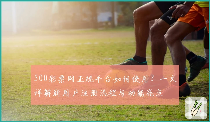 500彩票网正规平台如何使用？一文详解新用户注册流程与功能亮点