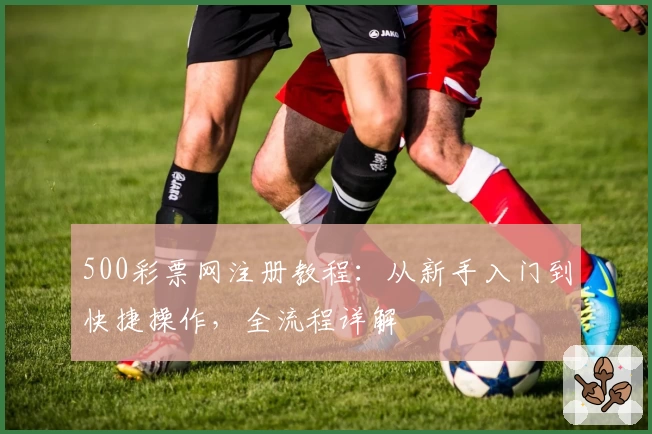 500彩票网注册教程：从新手入门到快捷操作，全流程详解