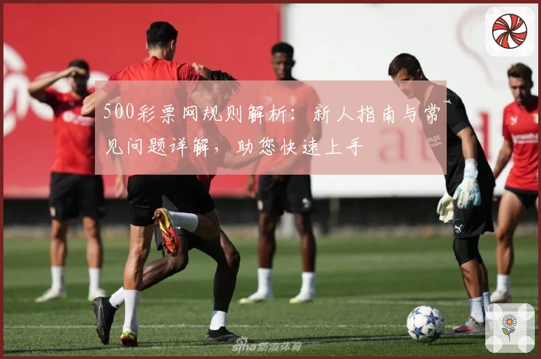 500彩票网规则解析：新人指南与常见问题详解，助您快速上手