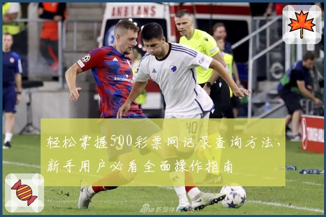 轻松掌握500彩票网记录查询方法，新手用户必看全面操作指南