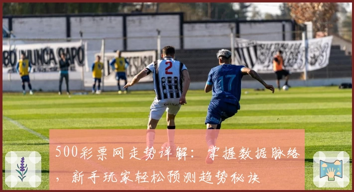 500彩票网走势详解：掌握数据脉络，新手玩家轻松预测趋势秘诀