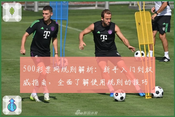 500彩票网规则解析：新手入门到权威指南，全面了解使用规则的技巧与注意事项