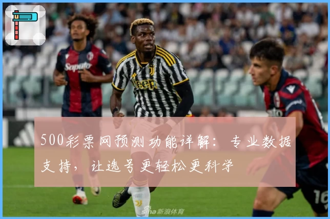 500彩票网预测功能详解：专业数据支持，让选号更轻松更科学