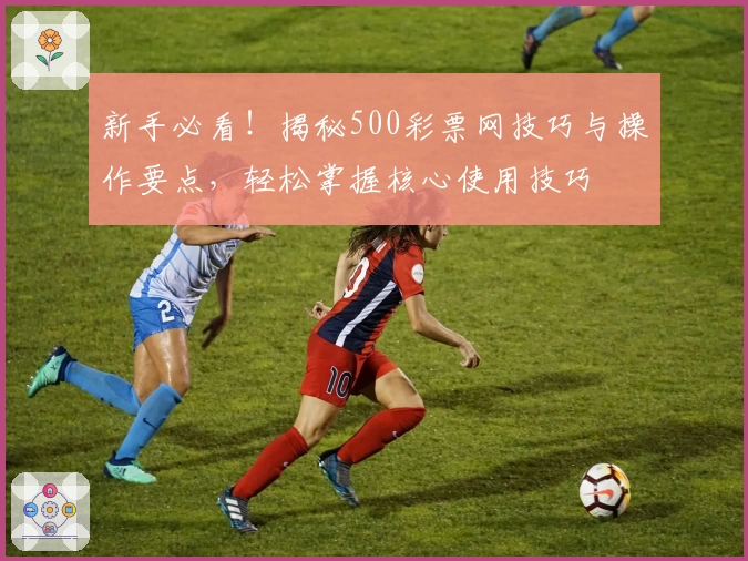 新手必看！揭秘500彩票网技巧与操作要点，轻松掌握核心使用技巧